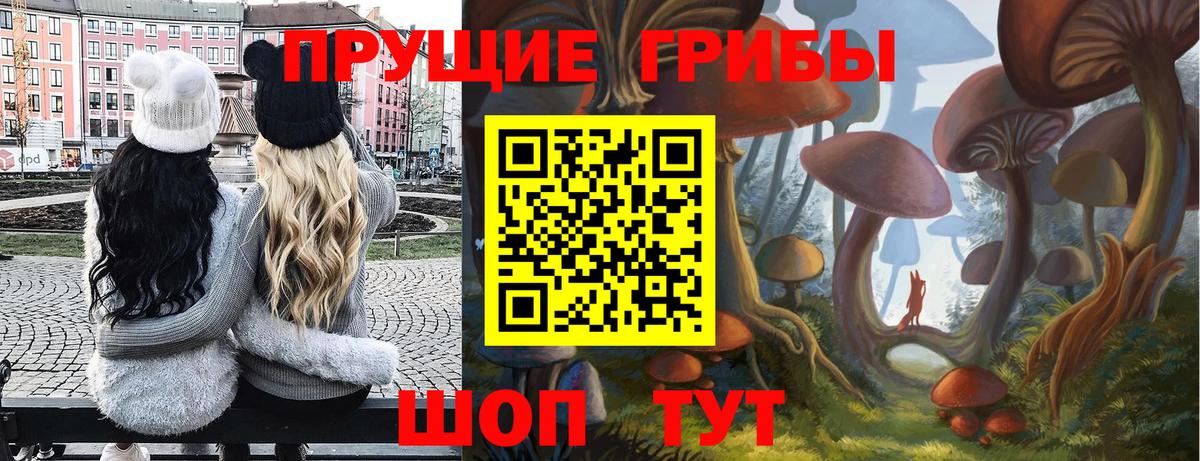 Острогожск  Псилоцибиновые грибы мицелий  Вход с VPN 